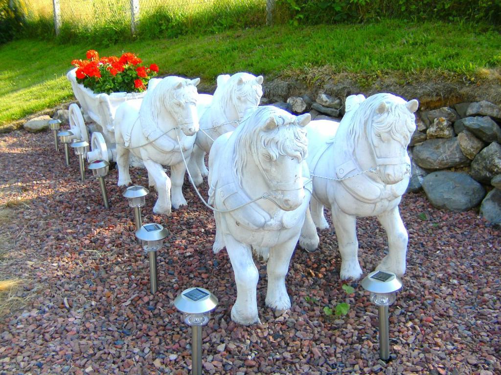 B&B Le Petit Normand Jalhay Εξωτερικό φωτογραφία